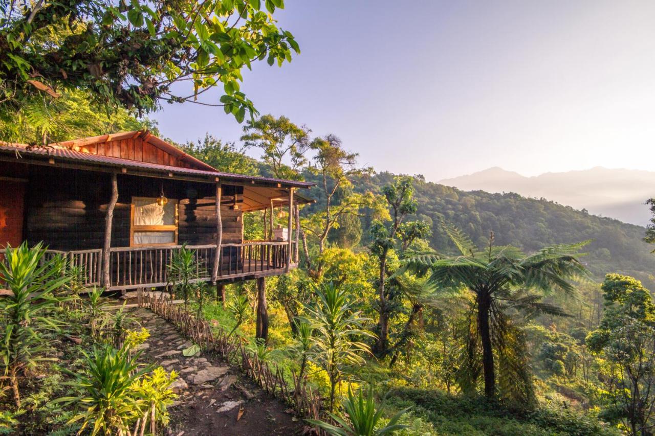 Wooden cottage
