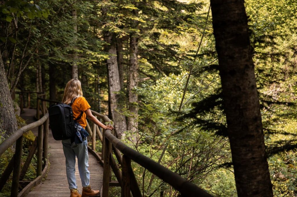 Exotic forest trekking