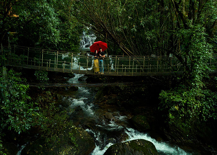 Small bridge on the river beside of Avarlon resort meppadi