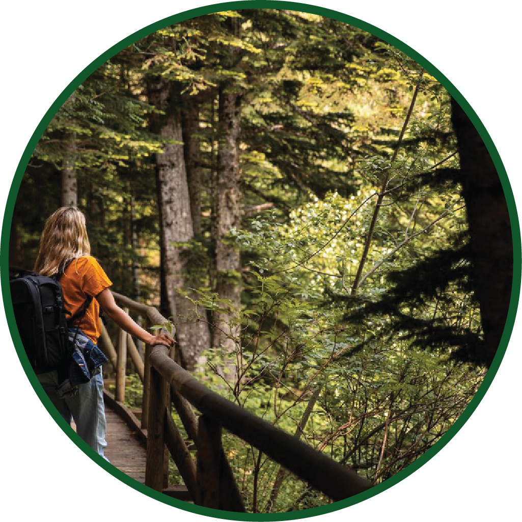 Trekking with Guide on Mepadi forest resort