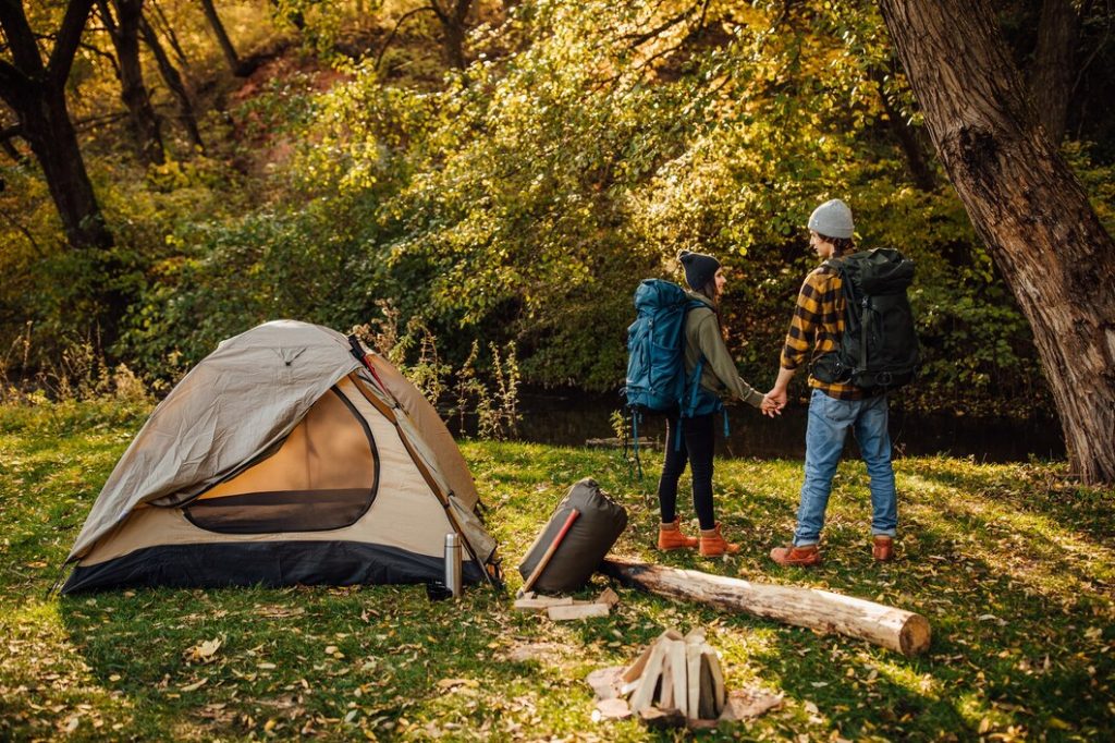 Thrilling forest camping in Resort