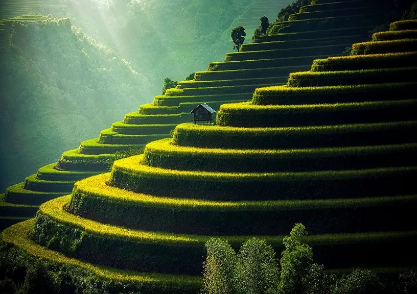 Green Tourism